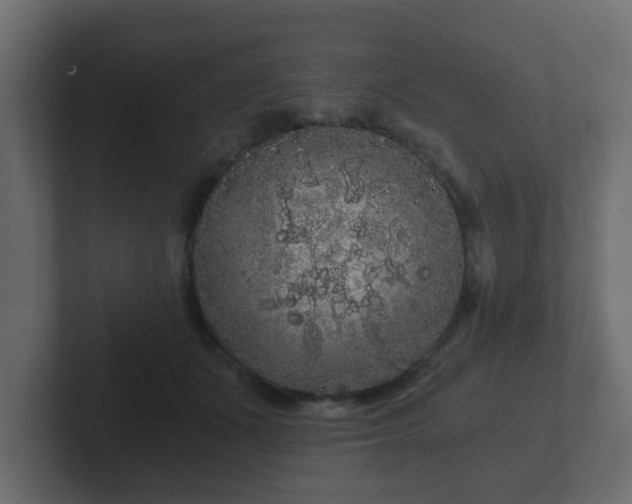 X0000102800511200808251051