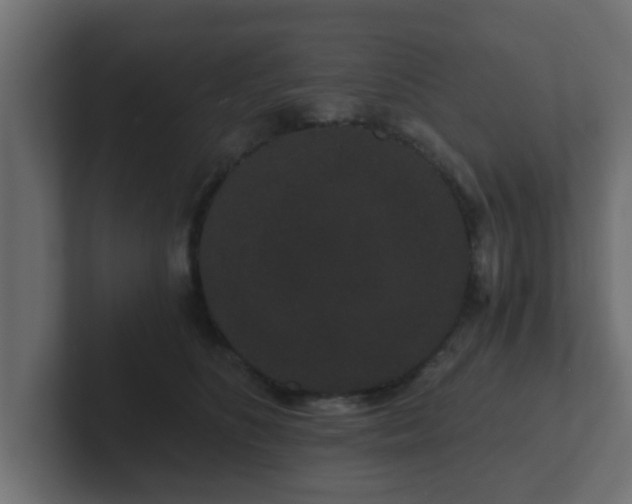 X0000102800516200808251051