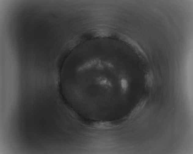 X0000102800517200808251051