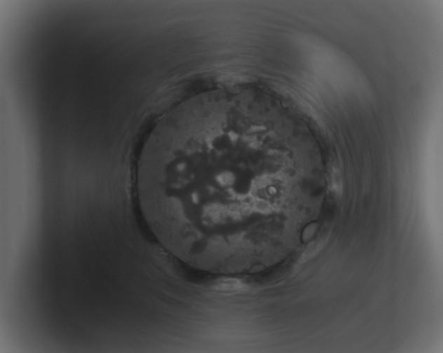 X0000102800519200808251051