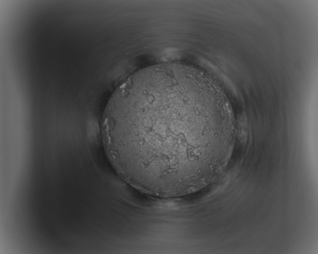 X0000102800523200808251051