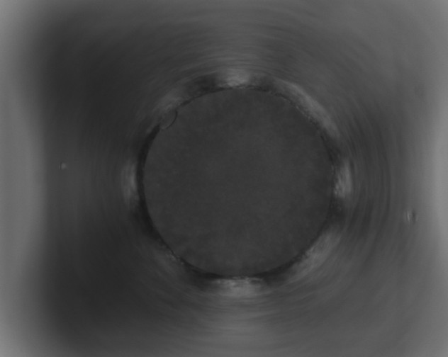 X0000102800524200808251051