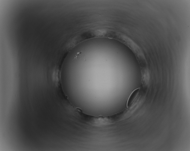 X0000102800525200808251051