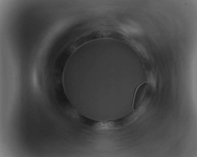 X0000102800526200808251051