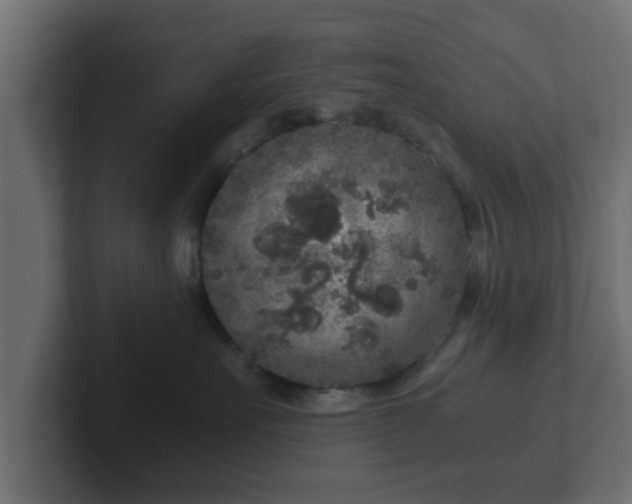 X0000102800527200808251051