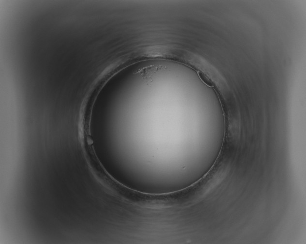 X0000102800530200808251051