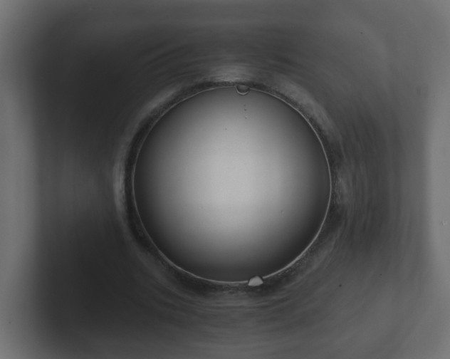 X0000102800535200808251051