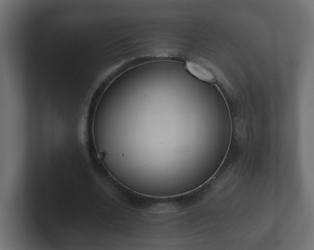 X0000102800536200808251051