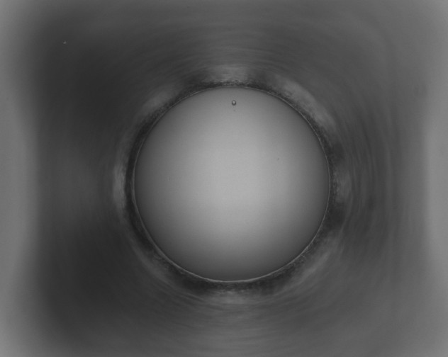 X0000102800538200808251051