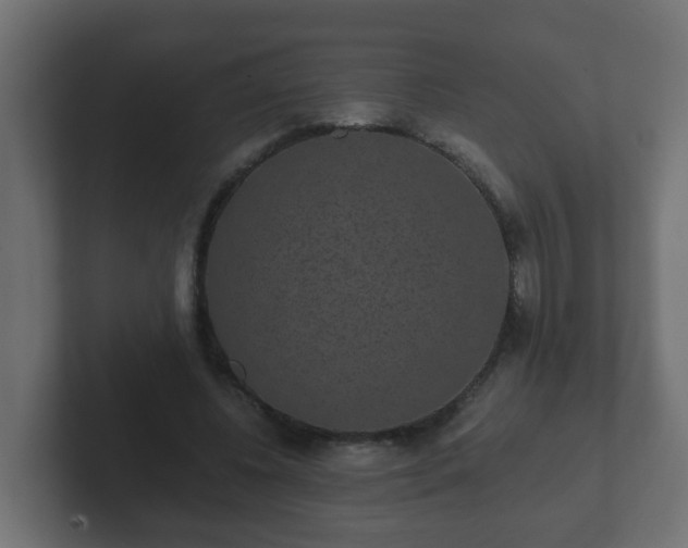 X0000102800540200808251051