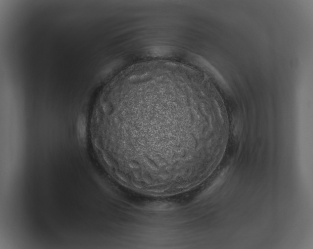 X0000102800542200808251051