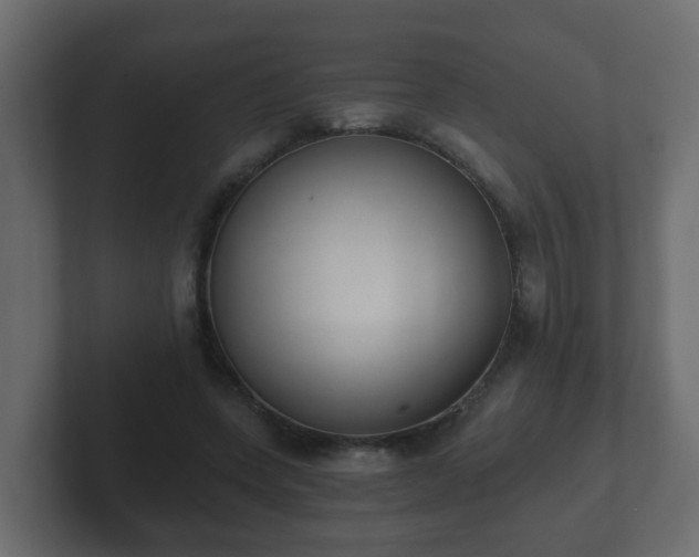 X0000102800543200808251051