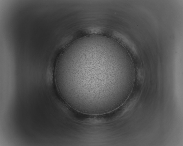 X0000102800545200808251051