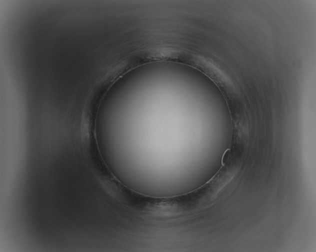 X0000102800546200808251051