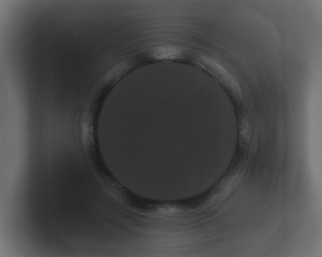 X0000102800547200808251051