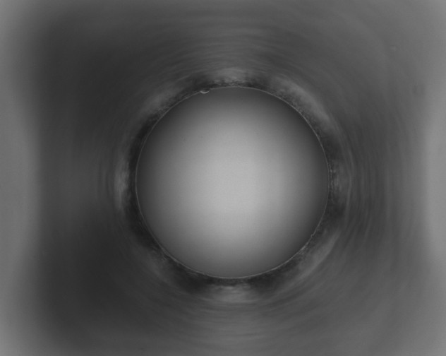 X0000102800548200808251051