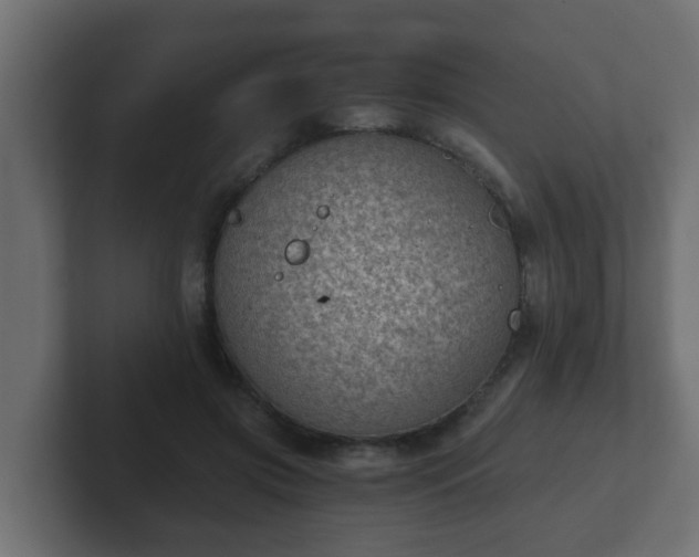 X0000102800549200808251051