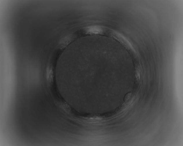 X0000102800551200808251051