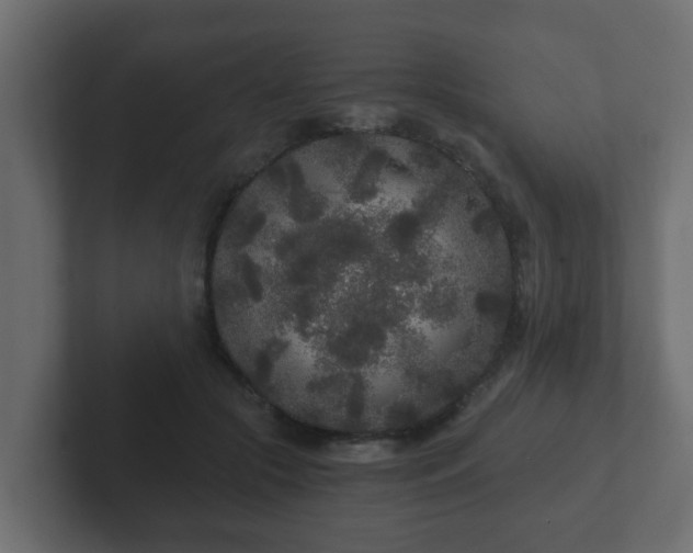 X0000102800553200808251051