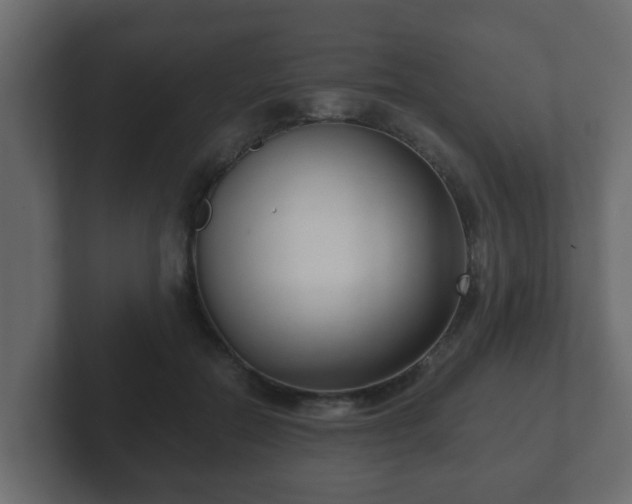 X0000102800554200808251051