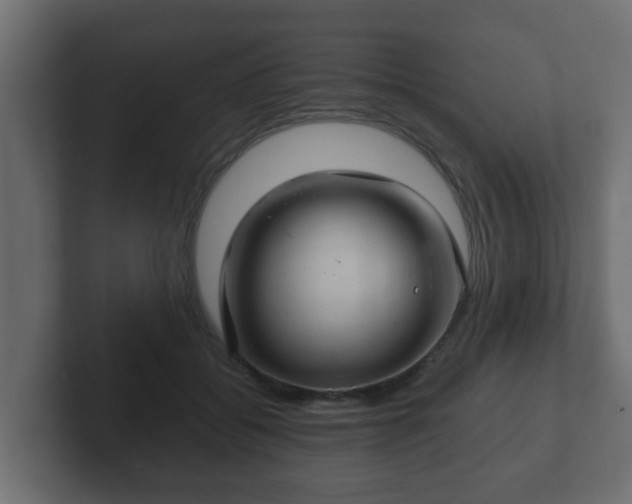 X0000102800556200808251051