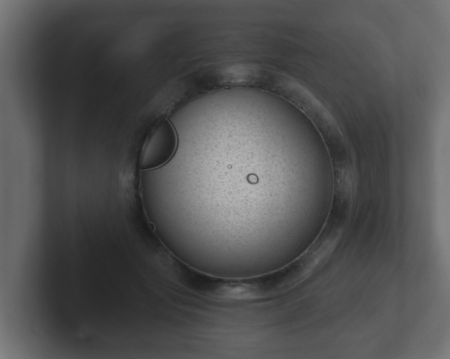 X0000102800557200808251051