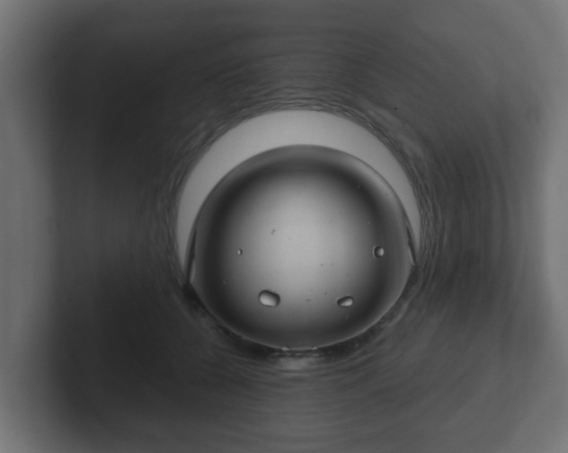 X0000102800560200808251051