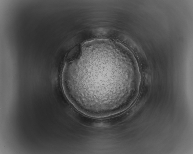 X0000102800561200808251051