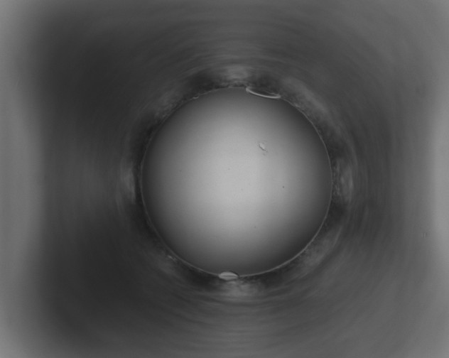 X0000102800562200808251051