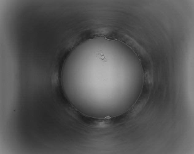 X0000102800564200808251051