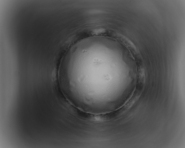 X0000102800565200808251051