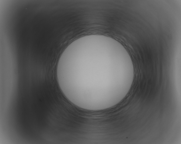 X0000102800568200808251051