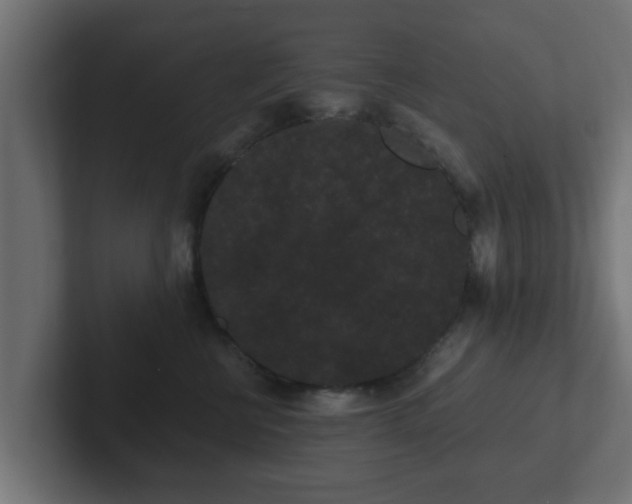 X0000102800570200808251051