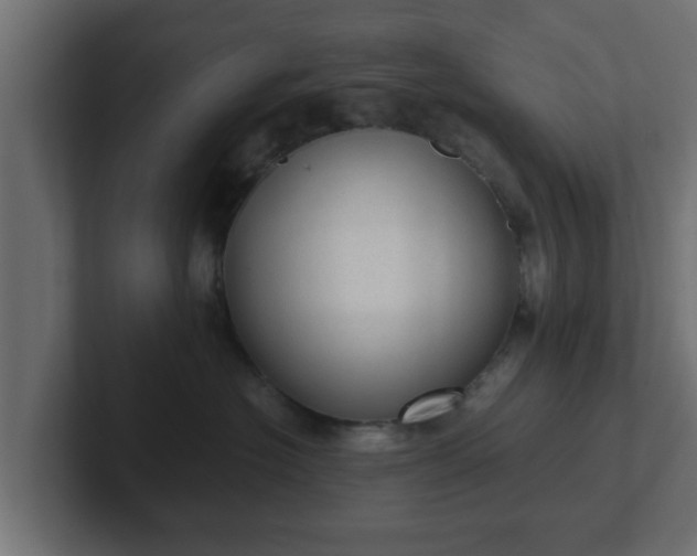 X0000102800574200808251051