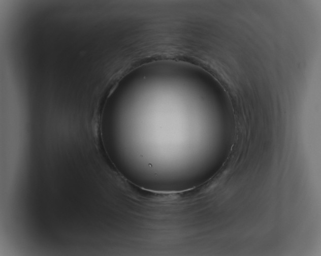 X0000102800576200808251051