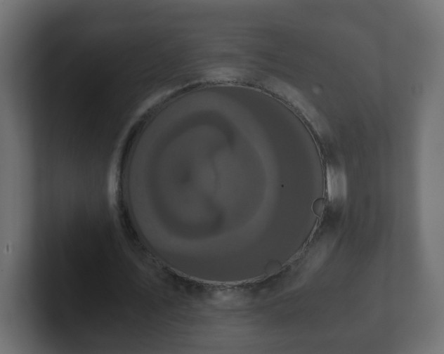 X0000102800579200808251051