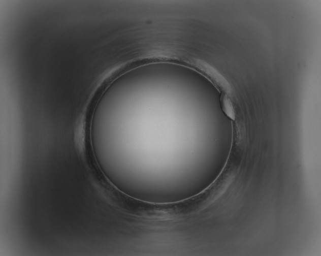 X0000102800580200808251050