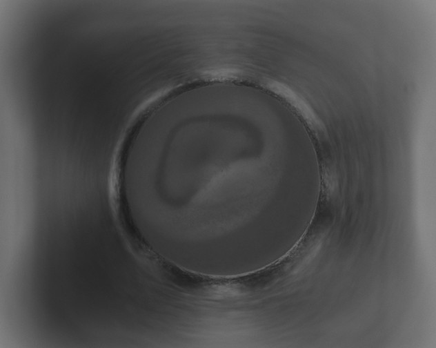 X0000102800583200808251050