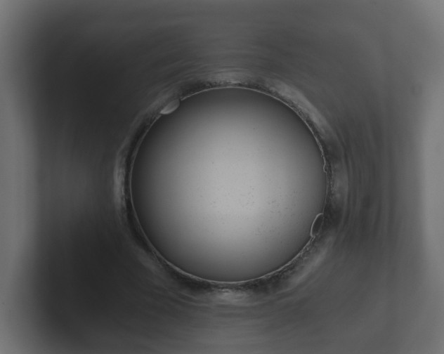 X0000102800585200808251050