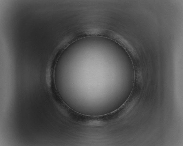 X0000102800586200808251050