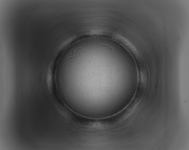 X0000102800588200808251050