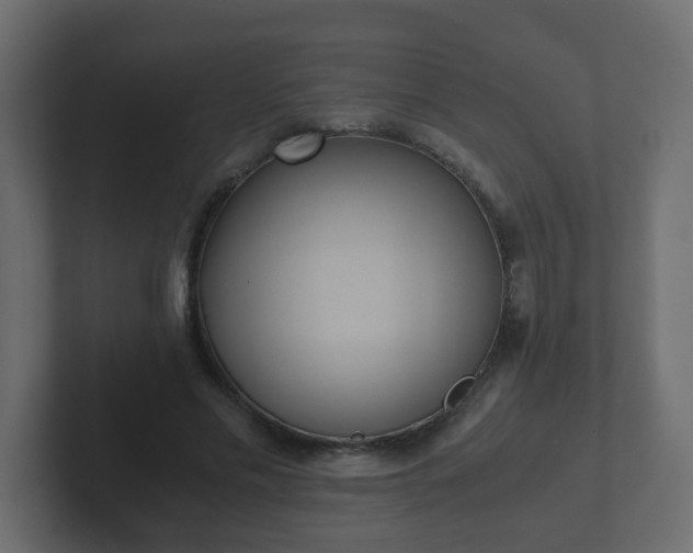 X0000102800589200808251050