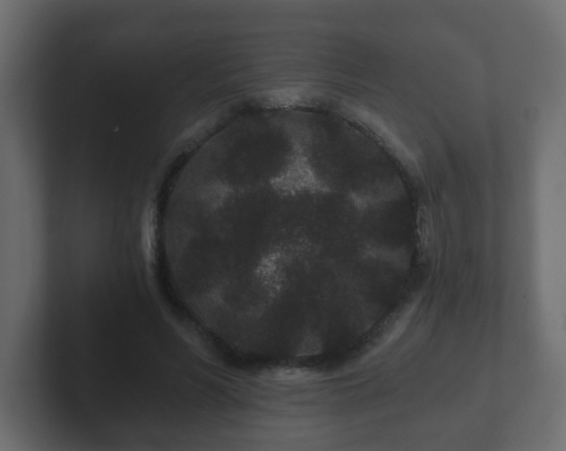 X0000102800590200808251050