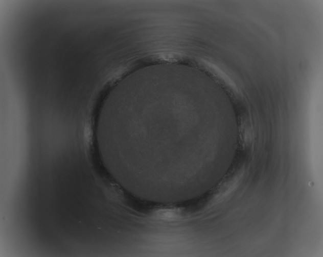 X0000102800595200808251050