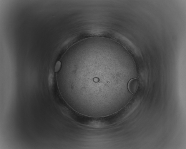 X0000102800596200808251050