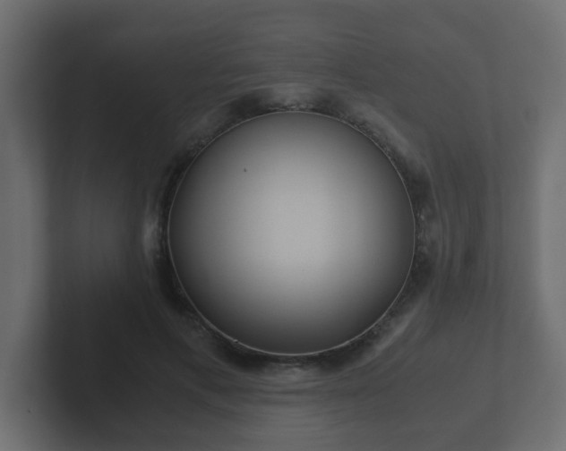 X0000102800597200808251050