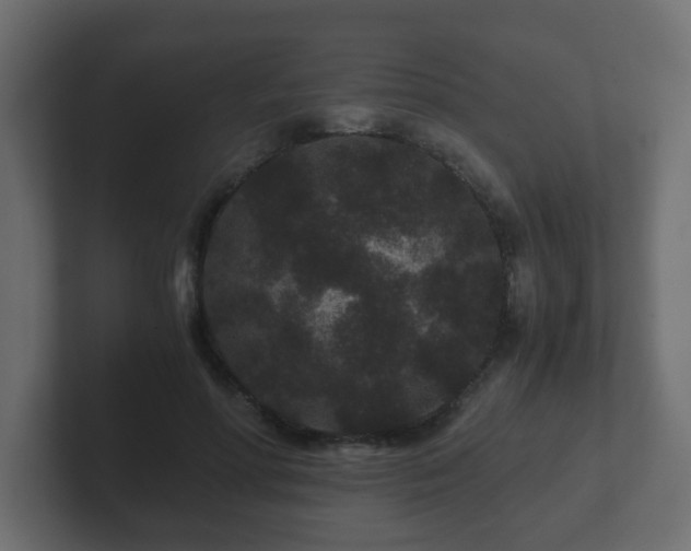 X0000102800598200808251050