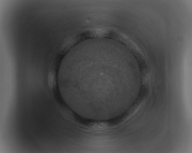 X0000102800599200808251050