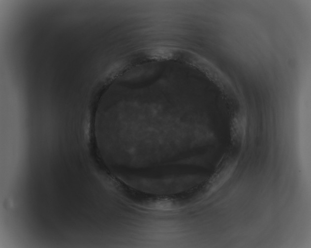 X0000102800600200808251050