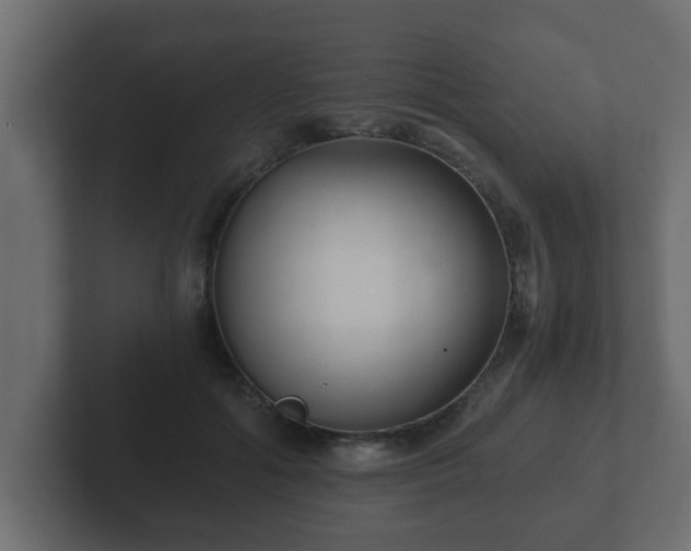 X0000102800602200808251050